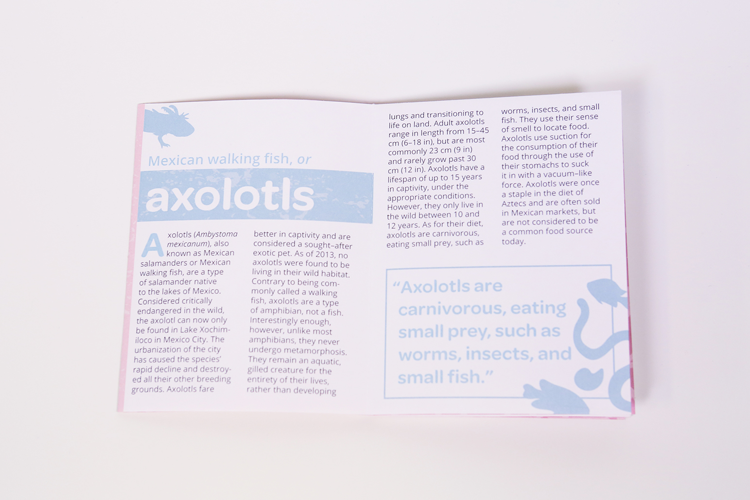 Axolotl Zine First Spread